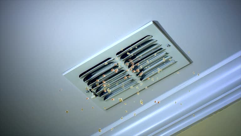 Best Ventilation Cleaning Services  in Southern View, IL
