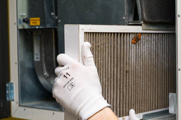 Best Air Duct Inspection  in Southern View, IL