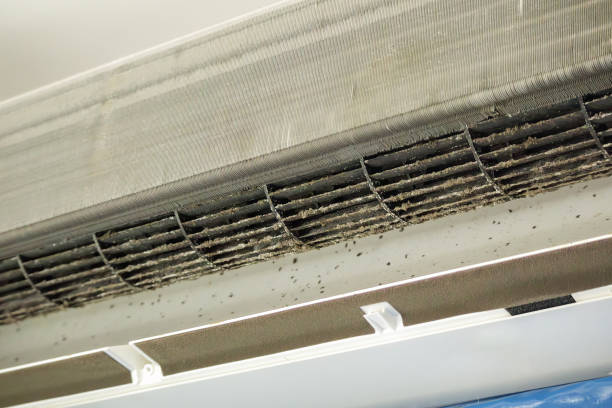 Best Air Duct Cleaning Near Me  in Southern View, IL